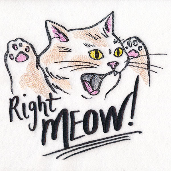 Right Meow Cat