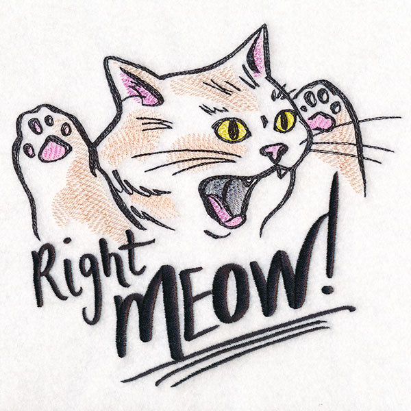 Right Meow Cat