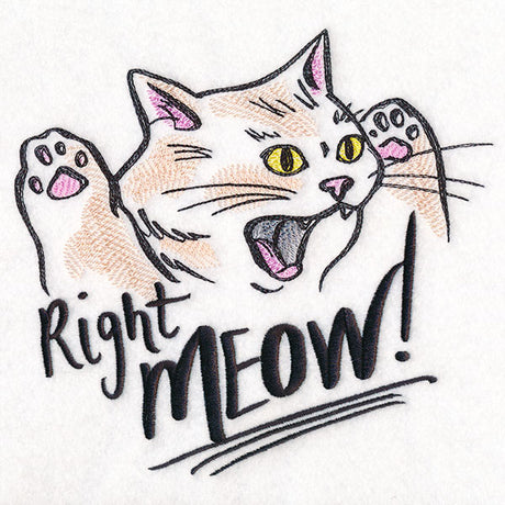 Right Meow Cat