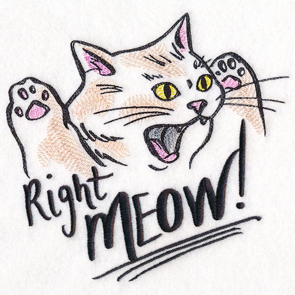 Right Meow Cat