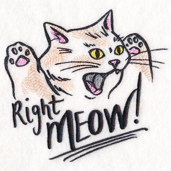 Right Meow Cat