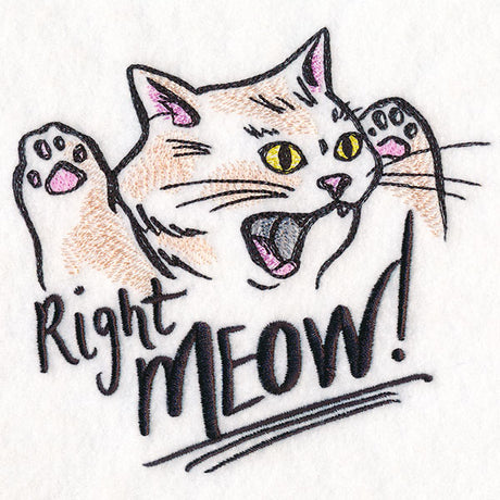 Right Meow Cat