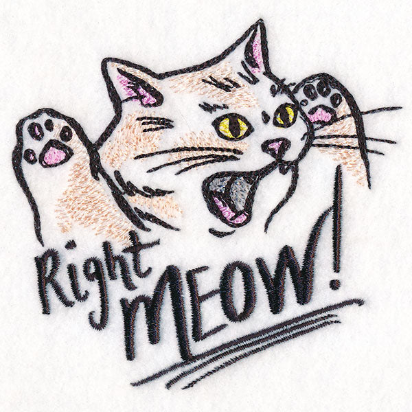 Right Meow Cat