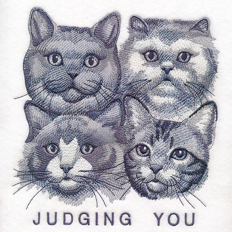 Judging You Cats