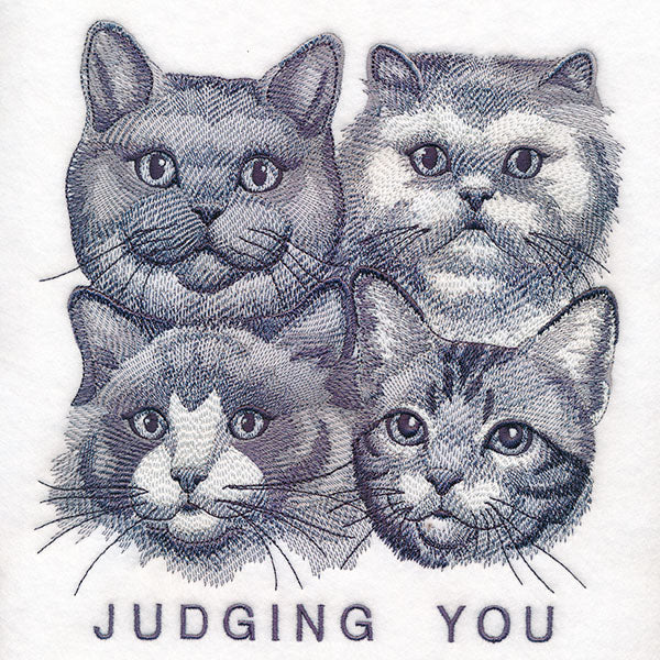 Judging You Cats