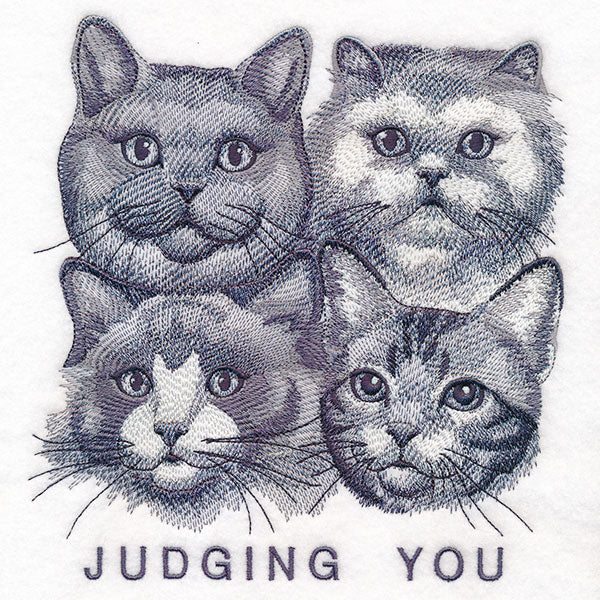 Judging You Cats