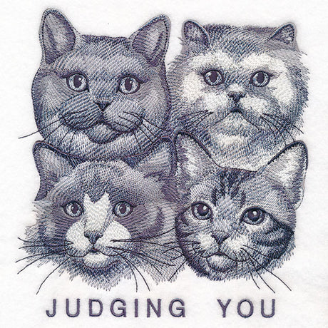 Judging You Cats