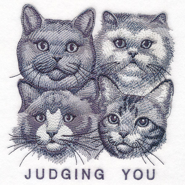 Judging You Cats