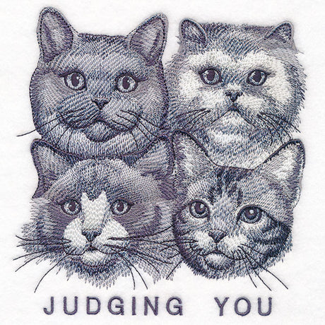 Judging You Cats