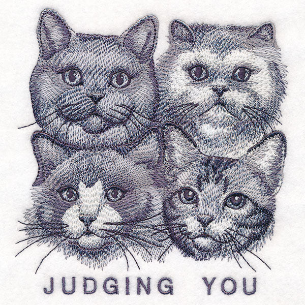 Judging You Cats