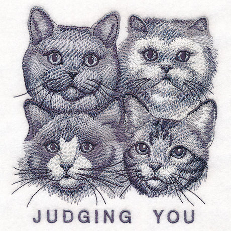 Judging You Cats