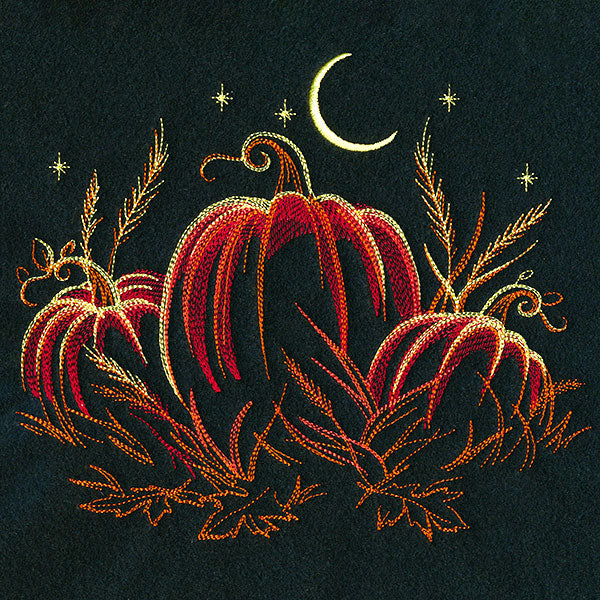 Midnight in the Pumpkin Patch