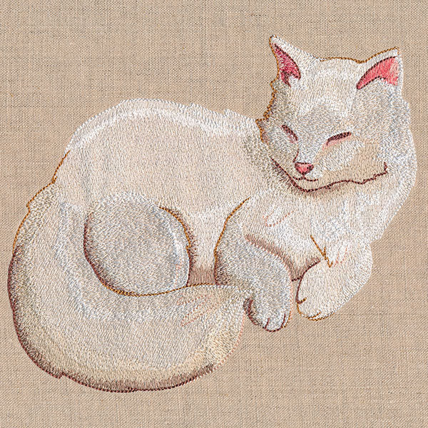 Soft & Sheer Cat