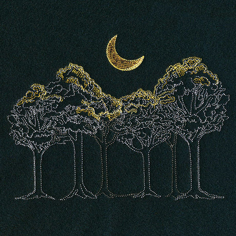 Moonlit Forest Scene