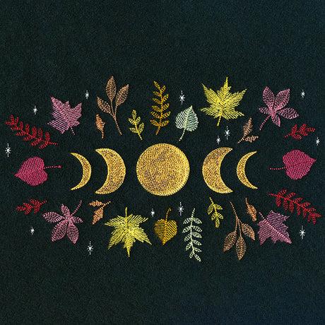 Moon Phases in Fall Feature
