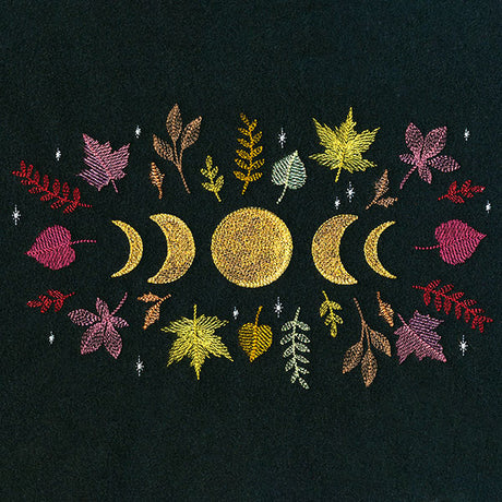 Moon Phases in Fall Feature