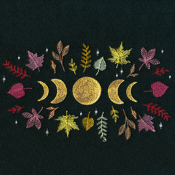 Moon Phases in Fall Feature