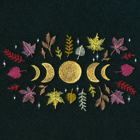 Moon Phases in Fall Feature