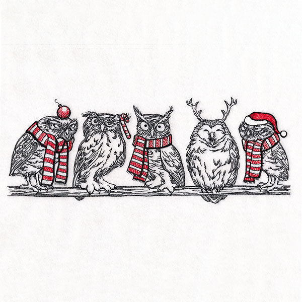 Whoo's Ready for Christmas Owl Border