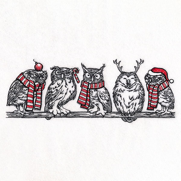 Whoo's Ready for Christmas Owl Border