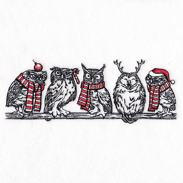 Whoo's Ready for Christmas Owl Border