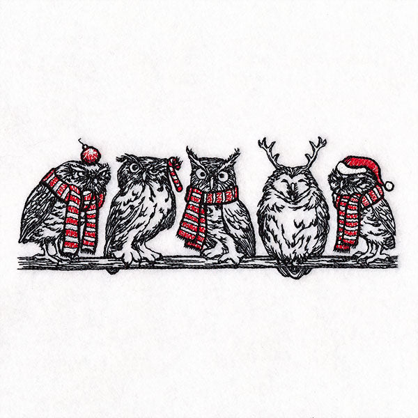 Whoo's Ready for Christmas Owl Border