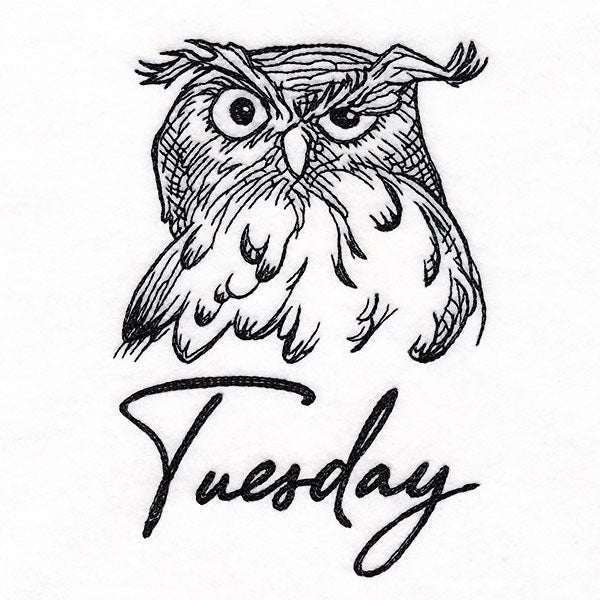 Who Gives a Hoot Owl on Tuesday