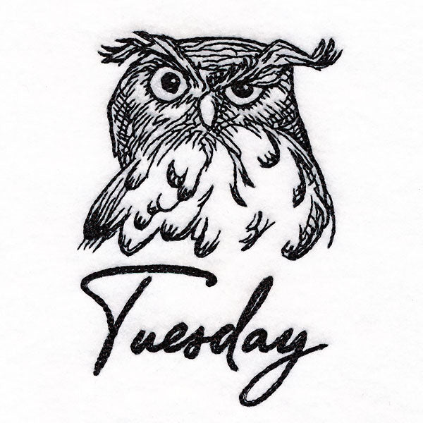 Who Gives a Hoot Owl on Tuesday