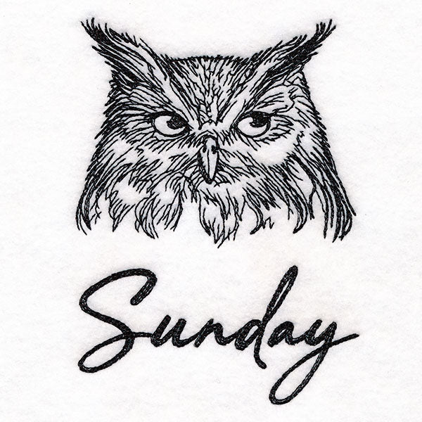 Who Gives a Hoot Owl on Sunday