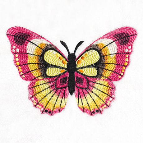 Wild Style Butterfly