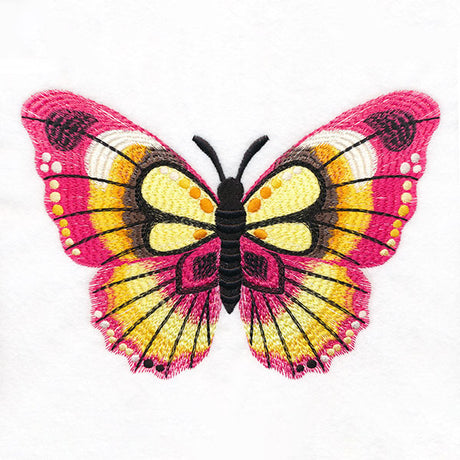 Wild Style Butterfly