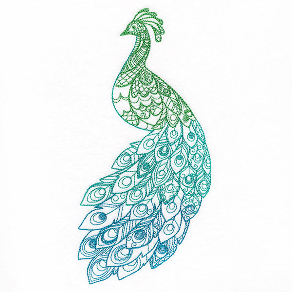 Ombre Majesty Peacock