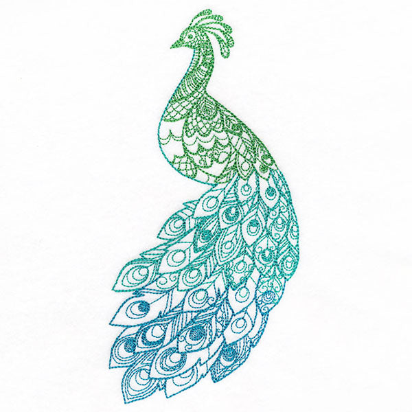 Ombre Majesty Peacock