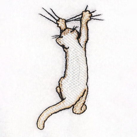 Hang in There Kitty