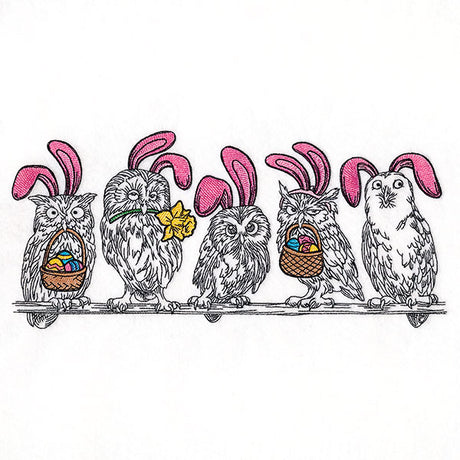 Whoo's Ready for Easter Owl Border
