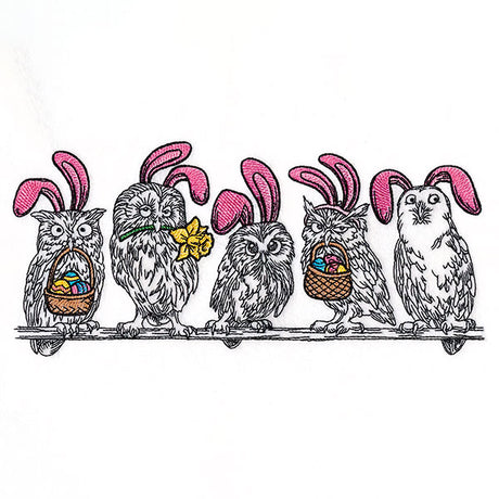 Whoo's Ready for Easter Owl Border