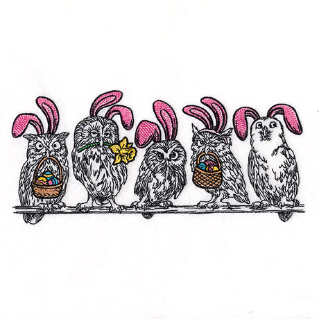 Whoo's Ready for Easter Owl Border