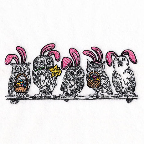 Whoo's Ready for Easter Owl Border