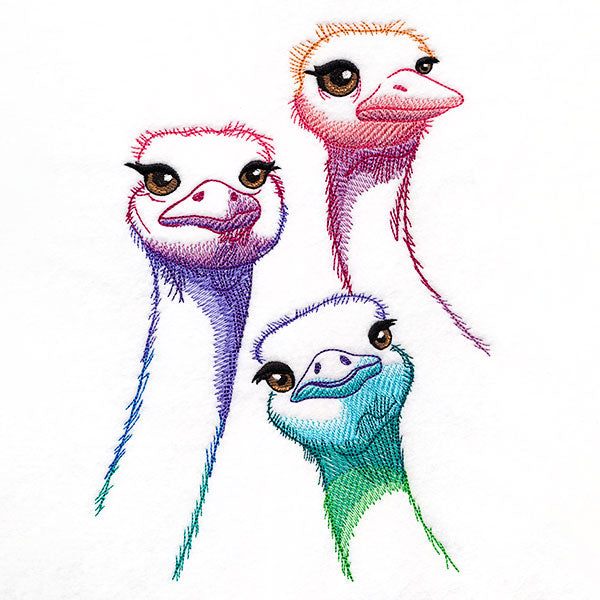 Alive with Color Ostrich Trio