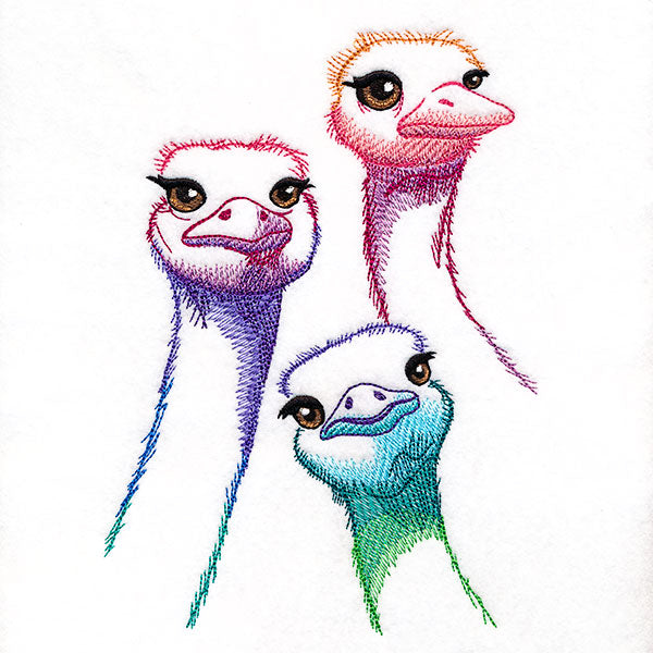 Alive with Color Ostrich Trio