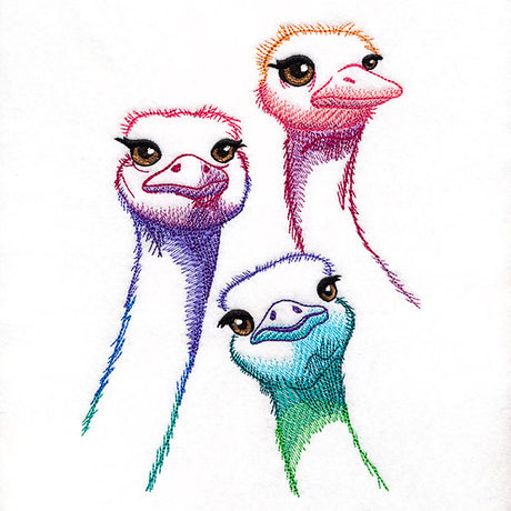 Alive with Color Ostrich Trio