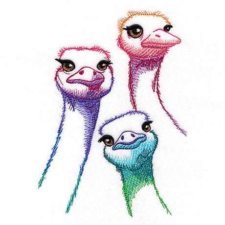 Alive with Color Ostrich Trio