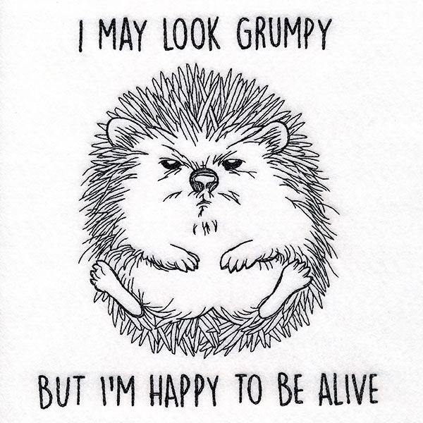 Happy to Be Alive Hedgehog