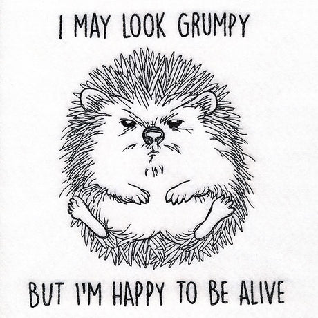 Happy to Be Alive Hedgehog