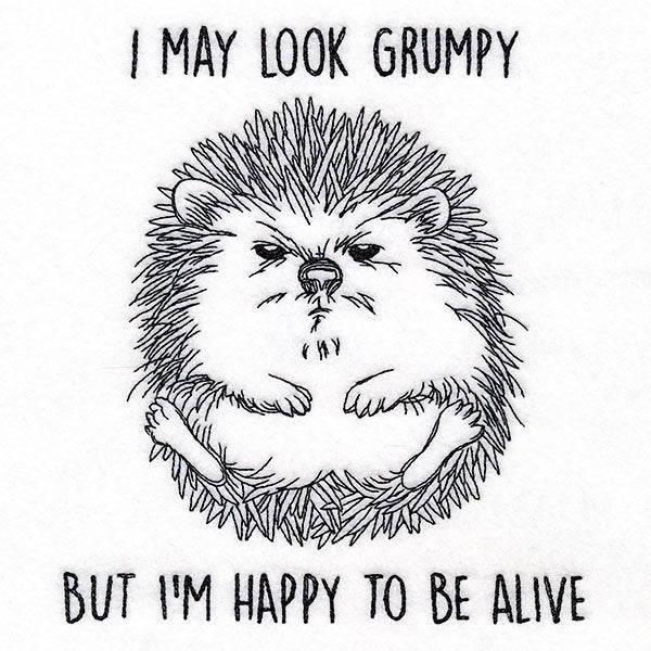 Happy to Be Alive Hedgehog