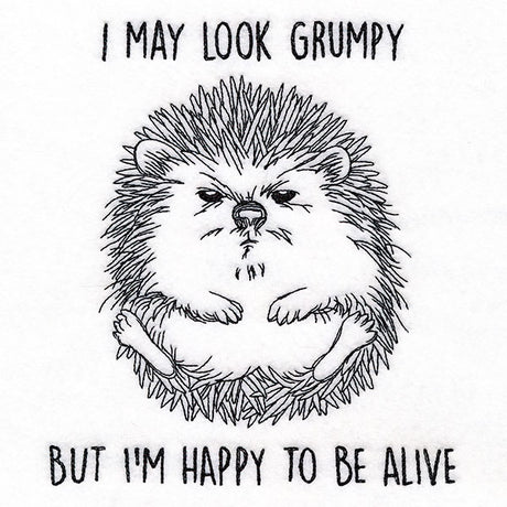 Happy to Be Alive Hedgehog