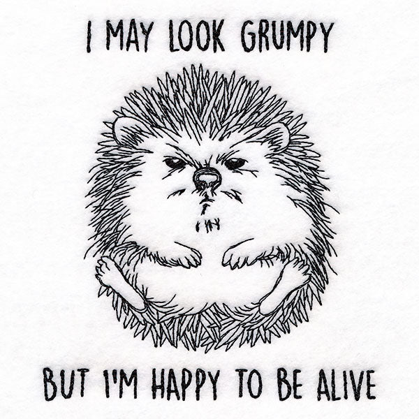 Happy to Be Alive Hedgehog
