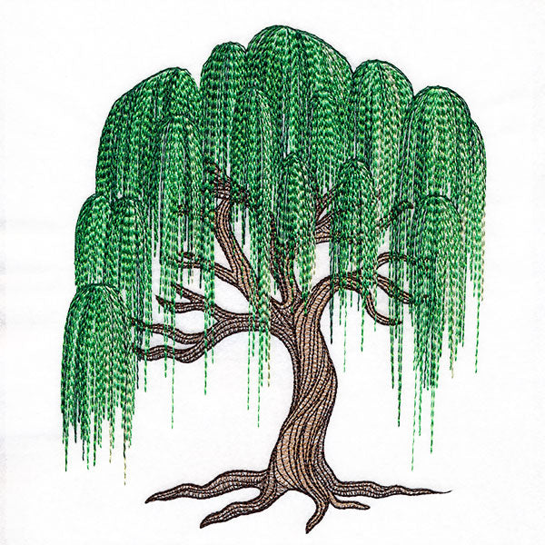 Texture and Wonder Weeping Willow
