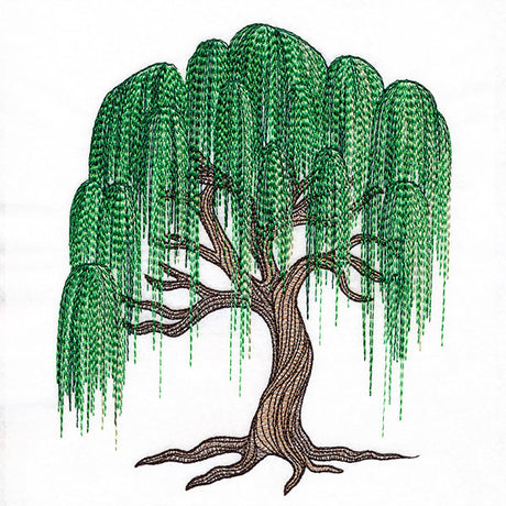 Texture and Wonder Weeping Willow