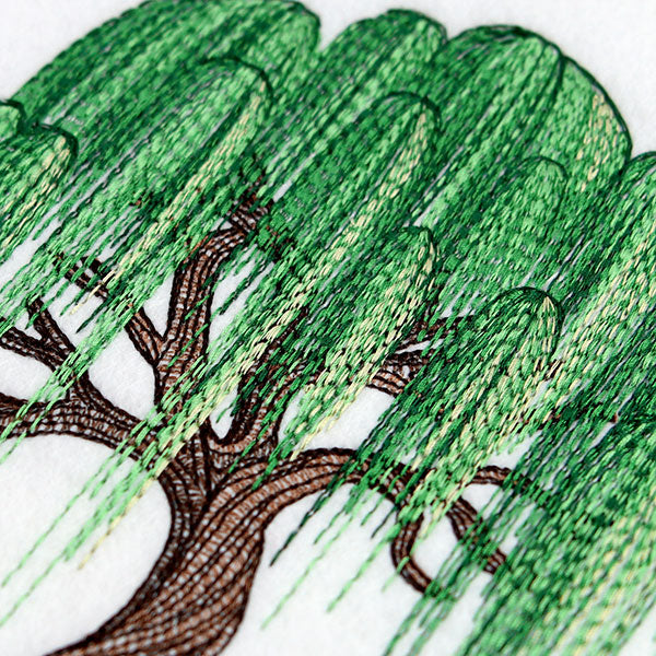 Texture and Wonder Weeping Willow